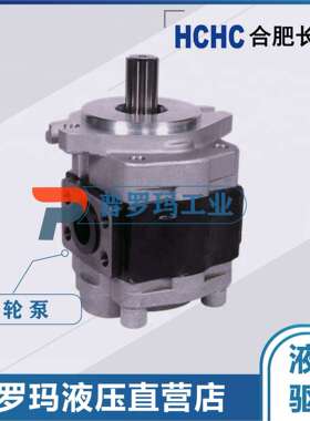 HCHC合肥长源齿轮油泵CBHC-F11-ALH4L/ALP/ALPL/ALΦ/ALΦL