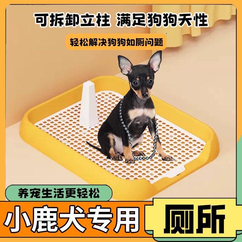 狗狗厕所大小便吉娃娃小鹿犬小型犬专用拉屎防踩屎小狗尿盆狗屎盆
