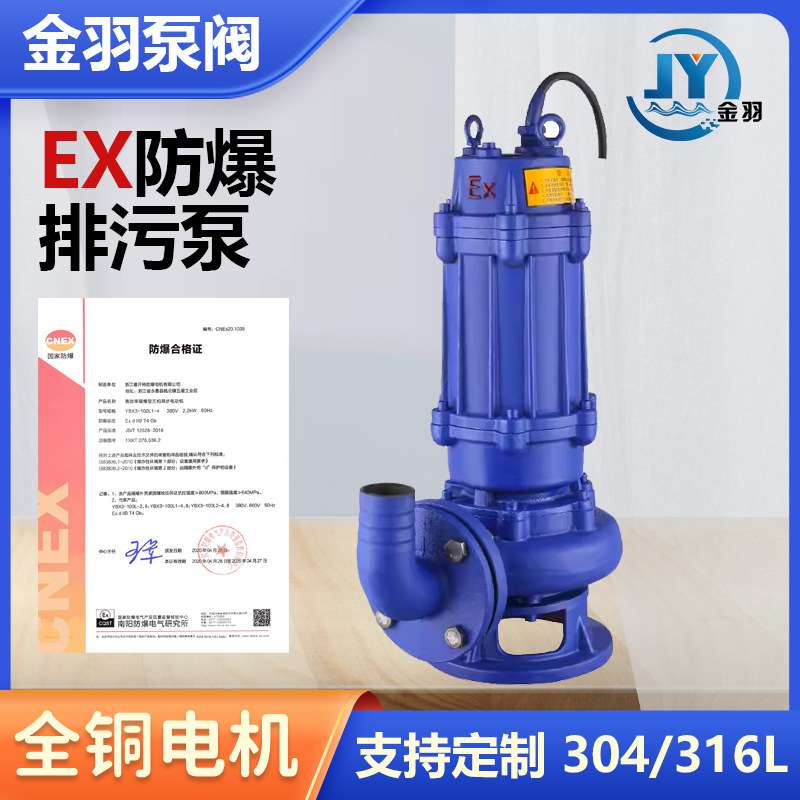 BQW100-110-10-5.5潜水排污泵 WQB国标EX加油站煤矿防爆潜污泵