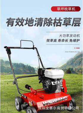 维邦WB486CRB梳草机 5马力草坪梳草机汽油机动力草坪养护梳草机