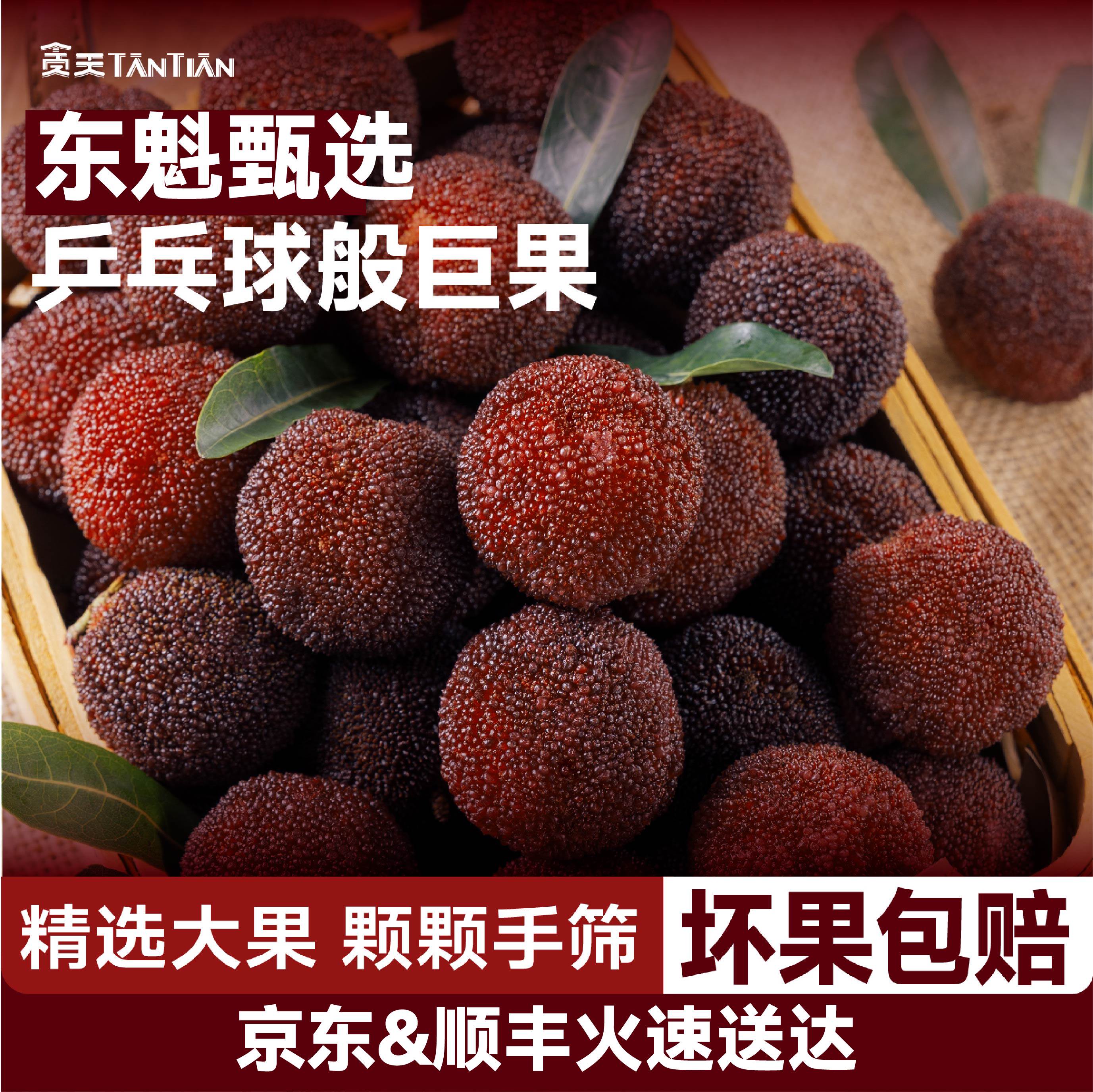 正宗东魁杨梅 40mm乒乓球大果 现摘现发新鲜水果礼盒装杨梅果