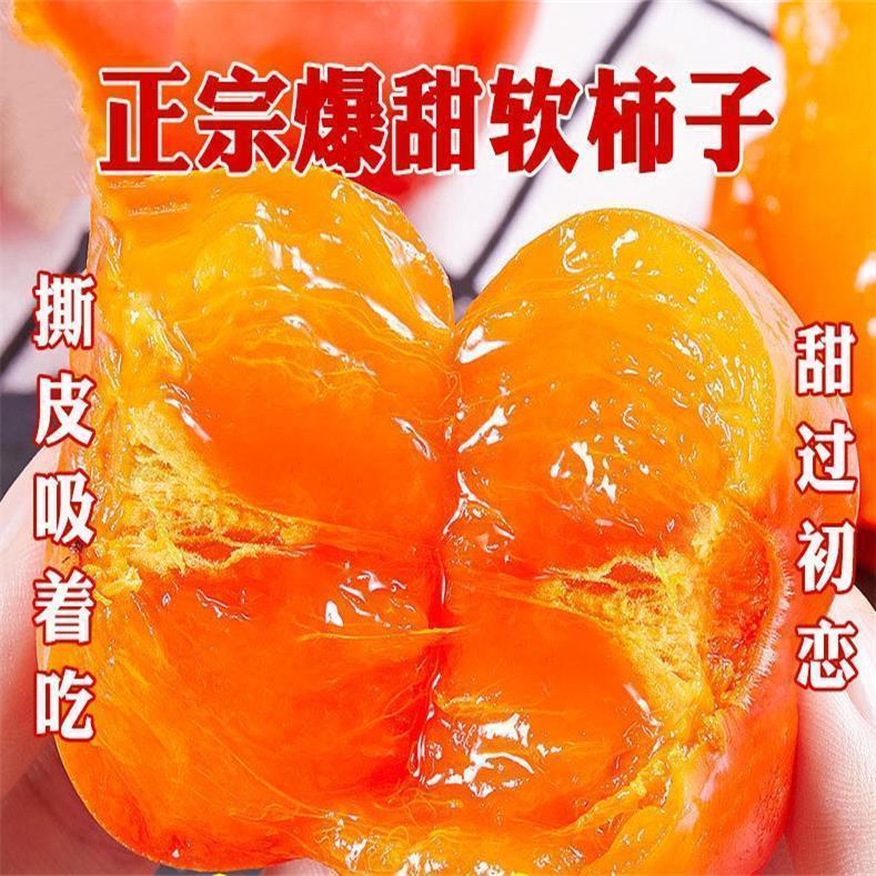 正宗爆甜软柿子树苗奶油嫁