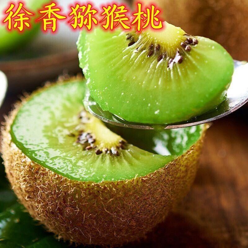 徐香猕猴桃树苗盆栽地江山