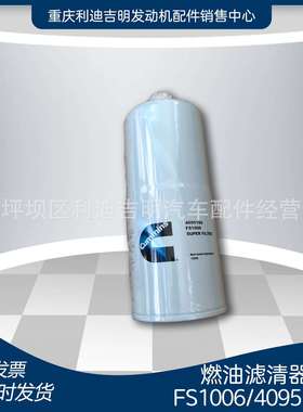 k19 k38发电机组配件 Nt855发动机零件 燃油滤清器FS1006 4095189
