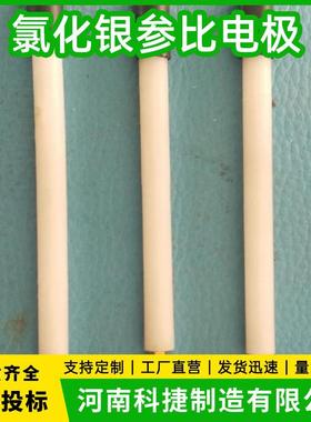 CPMS电位监测系统Agcl参比电极 便携式银/氯化银参比电极厂家