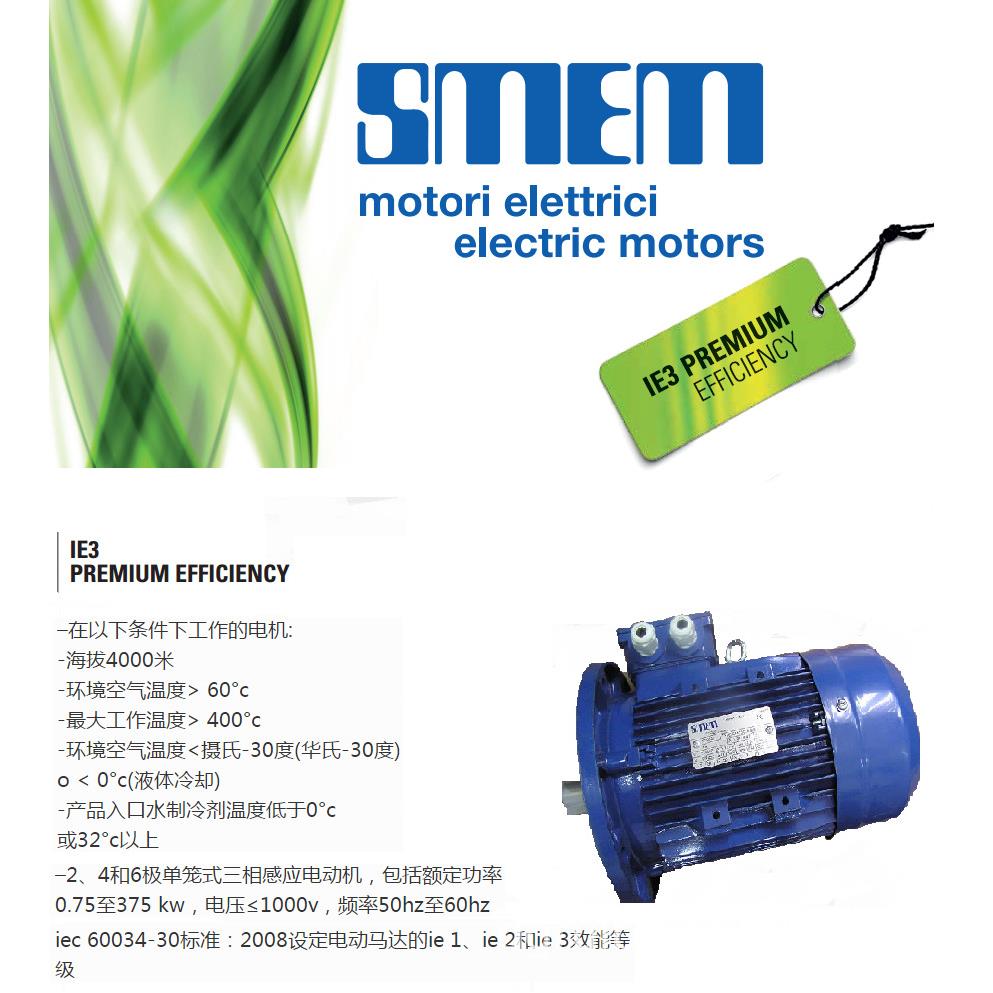 供应意大利SMEM电机 IE2 6SM2 7SM2系列电动机三相单相双速现货