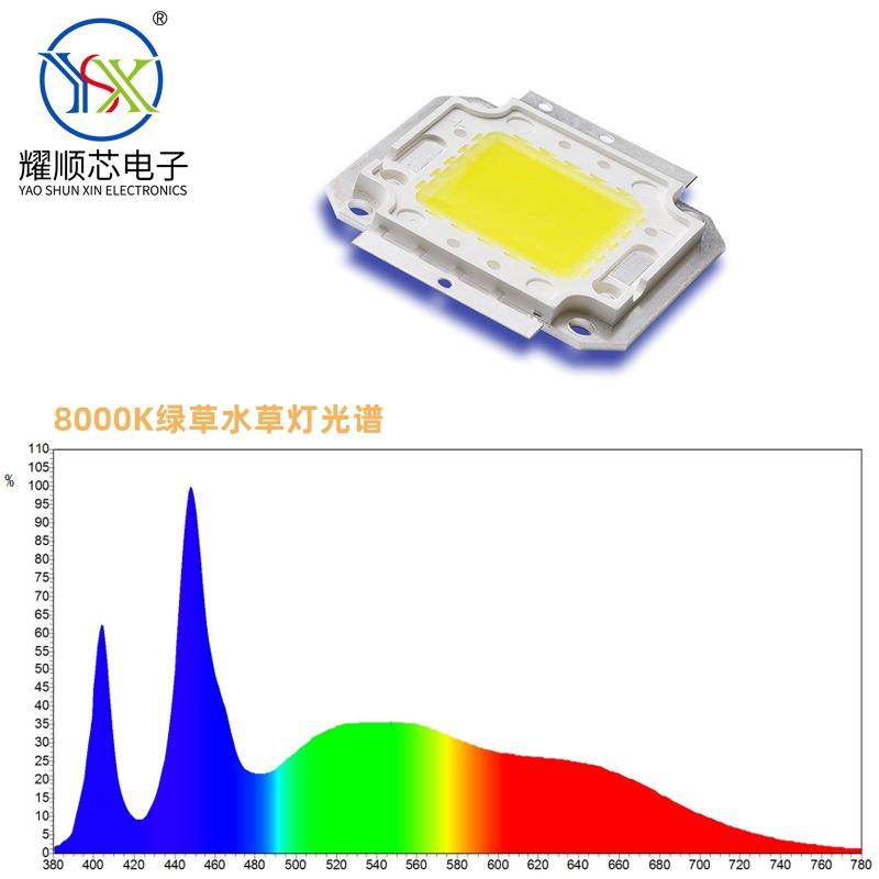 30W全光谱水草灯灯珠 8000K绿水草用高显色白光集成光源LED大功率