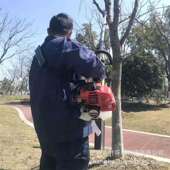 TUE26高枝油锯LM26E 300YT高枝锯高空修枝机