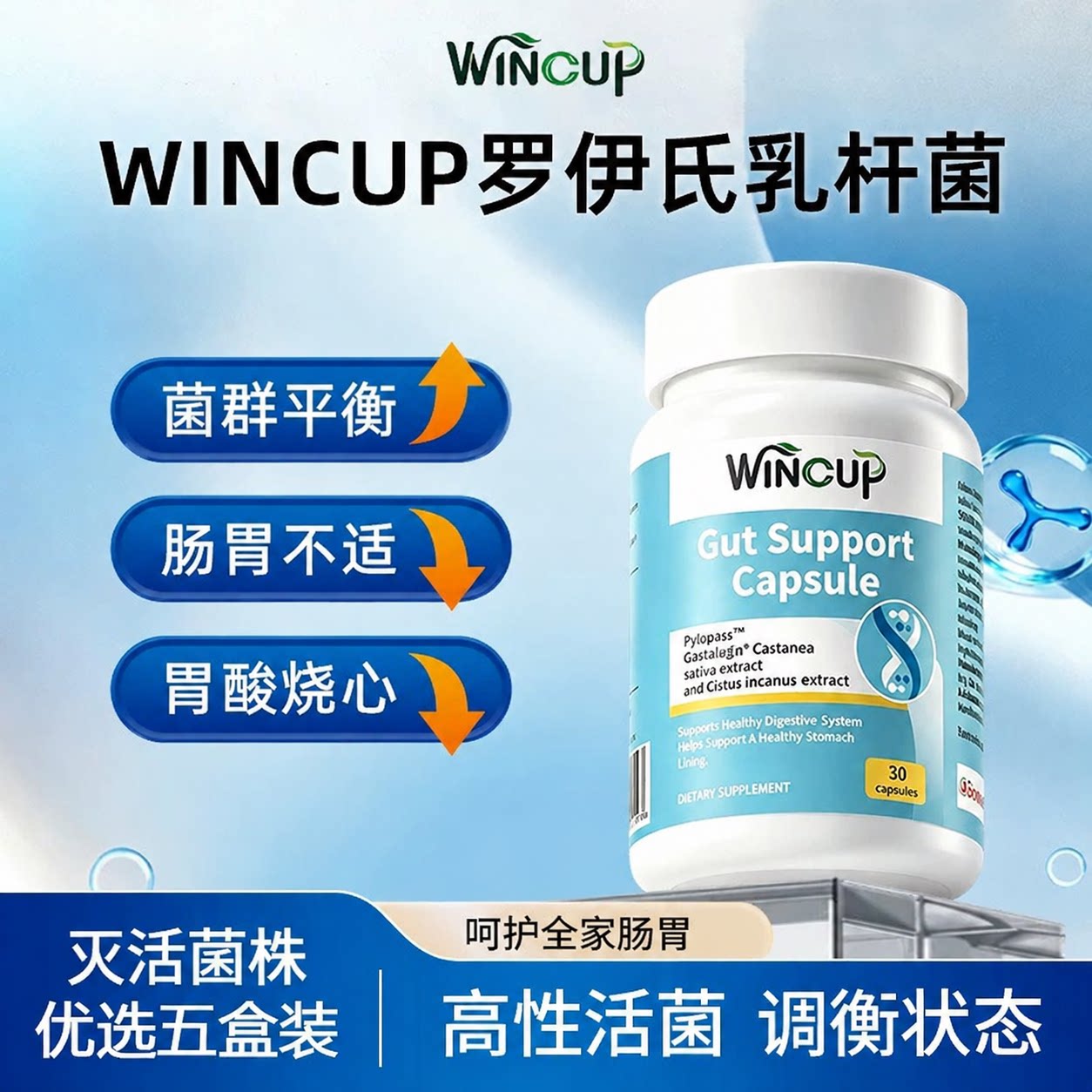 wincup罗伊氏乳杆菌调理成大人口臭肠胃道养胃清除幽门螺旋杆菌