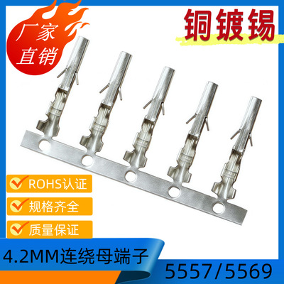 4.2接插件5557-T母端子5556-T簧片接线端子4.2磷铜端子10000个/卷
