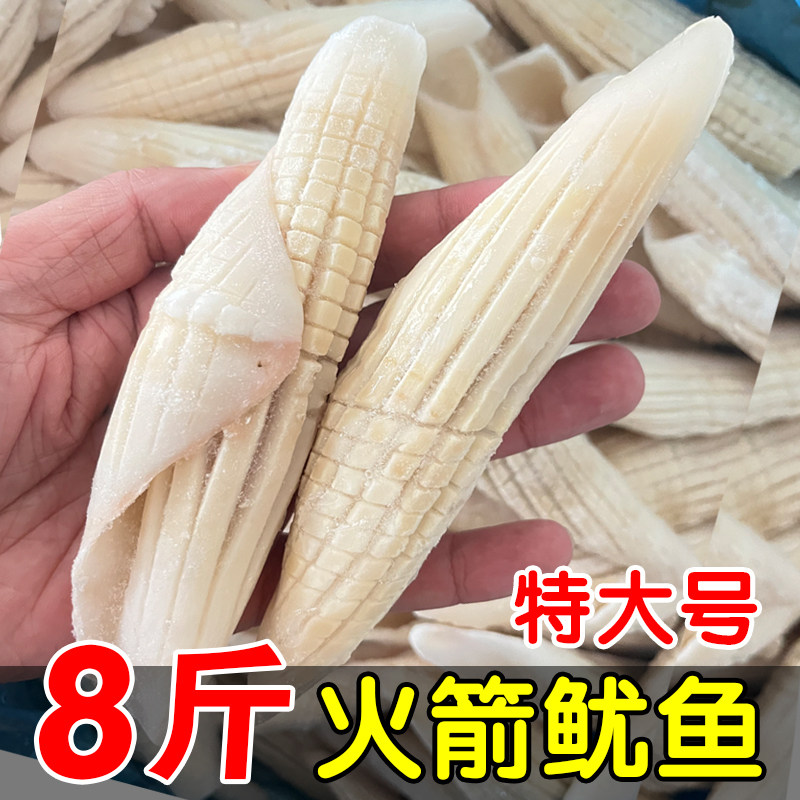 火箭鱿鱼火锅食材配菜新鲜水发鱿鱼鲜活冷冻海鲜烧烤商用批发顺丰