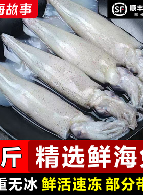 海兔子新鲜带籽籽乌鲜活笔管鱼冷冻满膏小鱿鱼仔火锅食材海鲜水产
