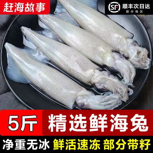 海兔子新鲜带籽籽乌鲜活笔管鱼冷冻满膏小鱿鱼仔火锅食材海鲜水产
