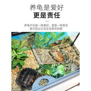 别墅乌龟缸带晒台带过滤鱼龟混养缸深水免换水养乌龟专用缸玻璃缸