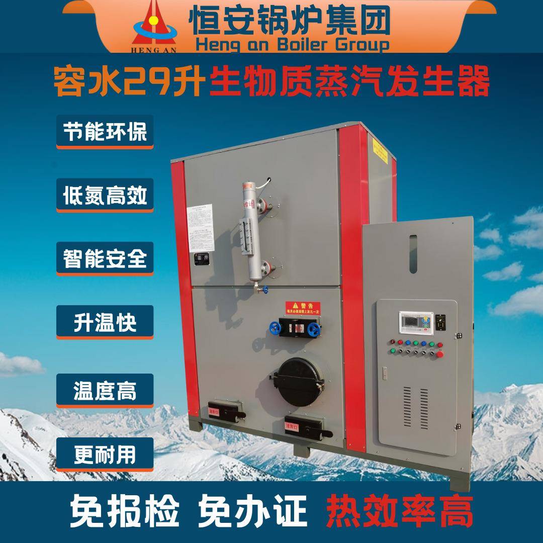 D级蒸汽锅炉0.5吨1吨生物质蒸汽发生器用于洗涤行业全套价格