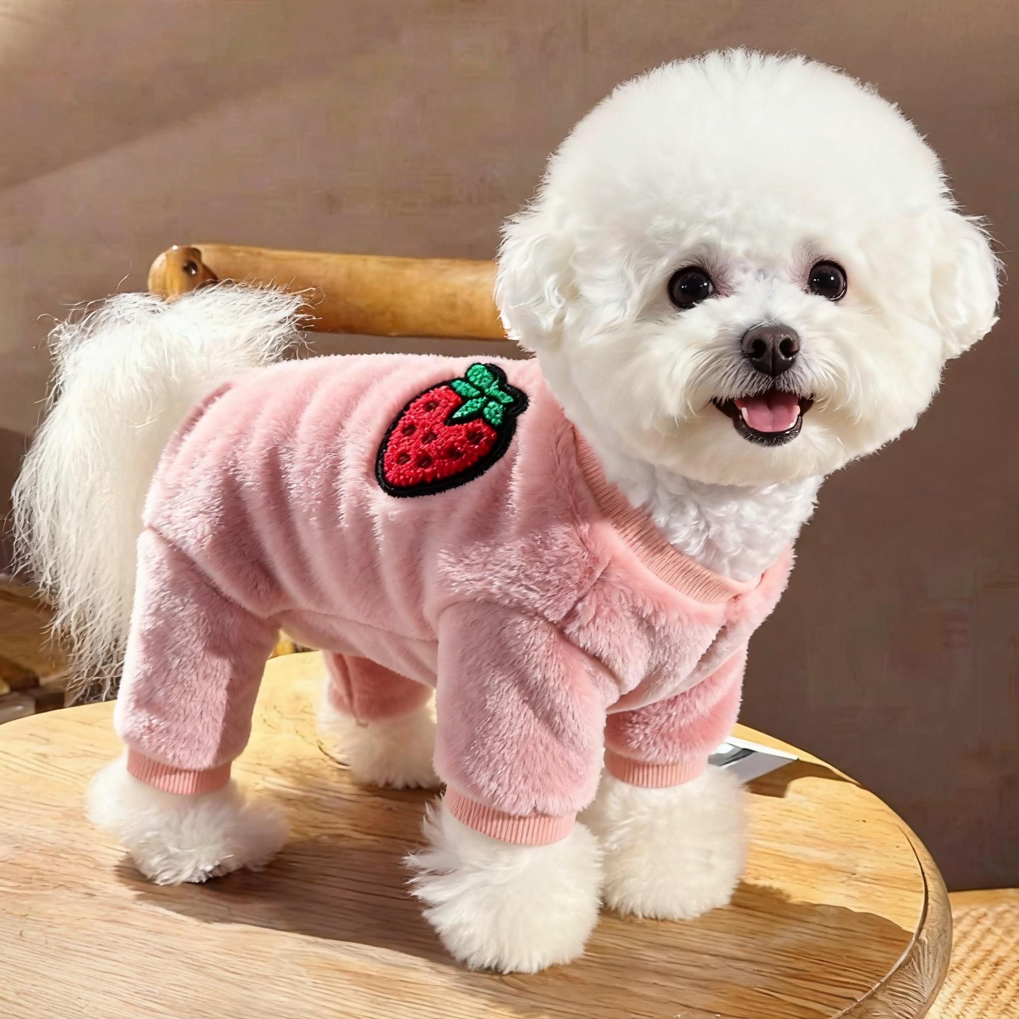 狗狗衣服秋冬装加厚睡衣可爱草莓