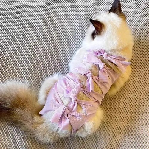 猫咪绝育服母猫手术服衣服透气