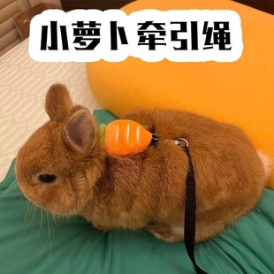 兔子牵引绳防挣脱遛兔子神器遛兔绳兔子牵引带可调节胸背带绳外出