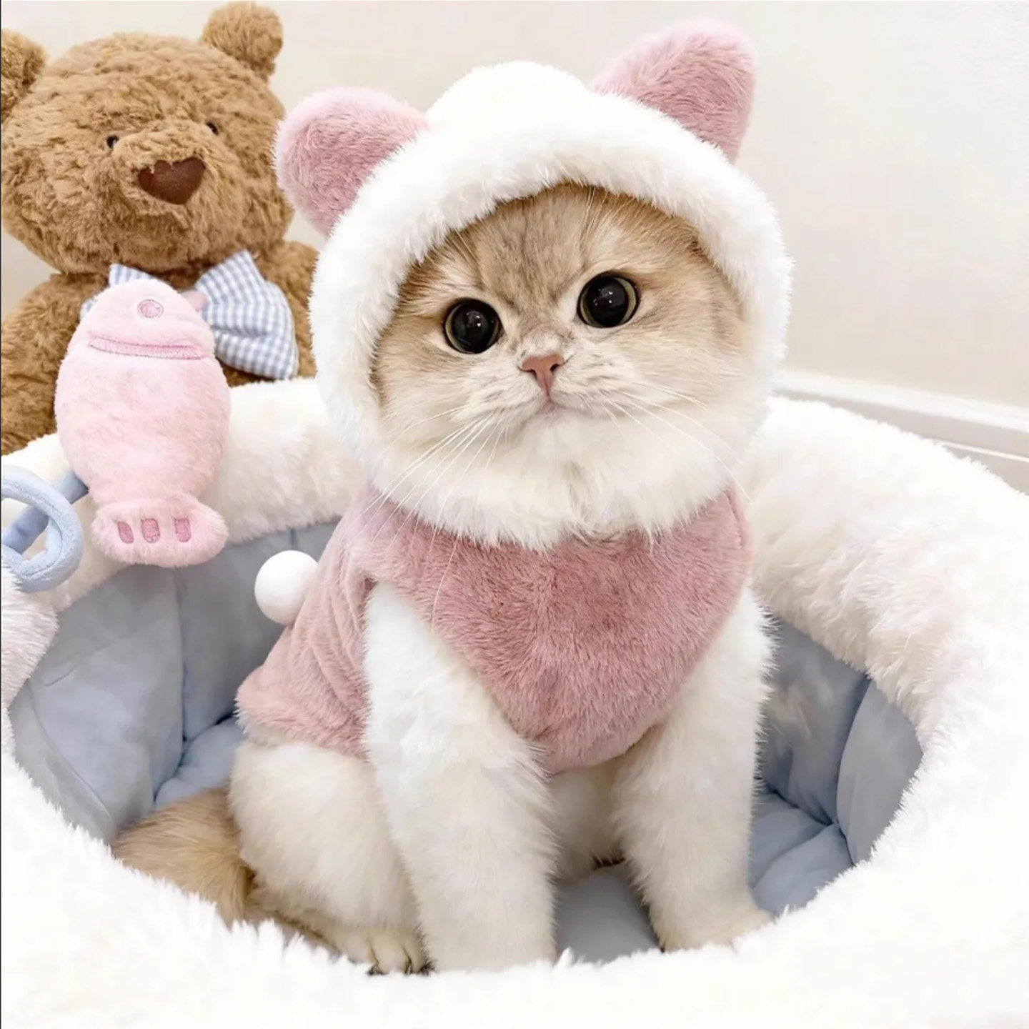 猫咪衣服秋冬款保暖卫衣可爱小熊可牵引防掉毛金渐层布偶宠物服装,宠物/宠物食品及用品,猫宠物服装/雨衣（新）,淘宝优惠券,粉丝福利购,淘宝优惠卷