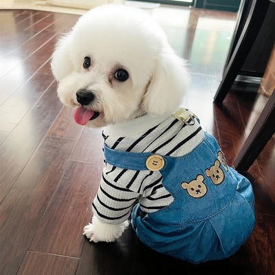 狗狗衣服春秋款可牵引可爱背带裤