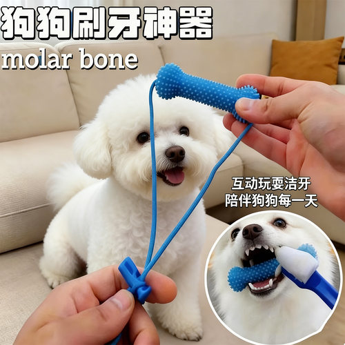 狗狗刷牙辅助器洁齿磨牙清洁玩具