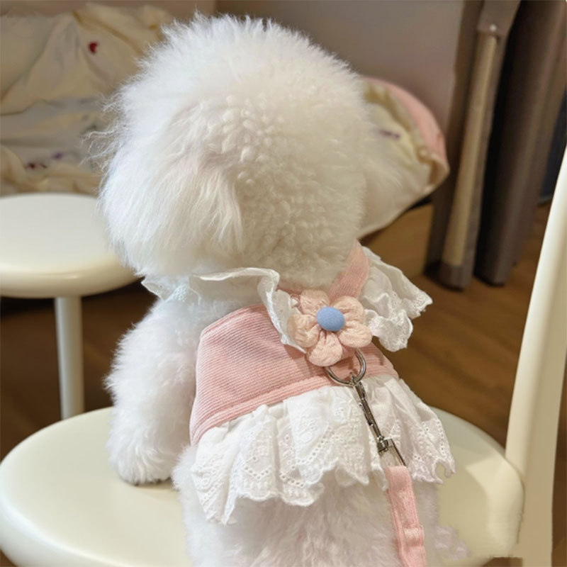小猫咪牵引绳高颜值JK蕾丝小花胸背带防挣脱幼猫可爱公主风遛猫绳