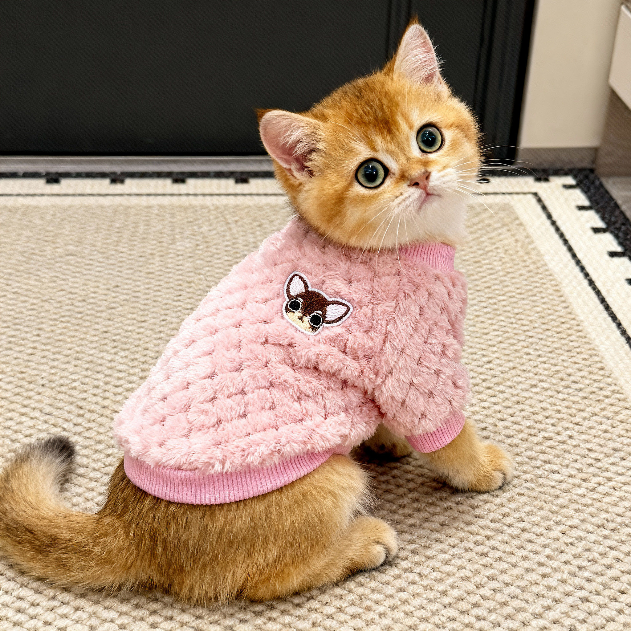 猫咪衣服春秋款羊羔绒卡通可爱小狗卫衣防掉毛金渐层布偶宠物服装,宠物/宠物食品及用品,猫宠物服装/雨衣（新）,淘宝优惠券,粉丝福利购,淘宝优惠卷