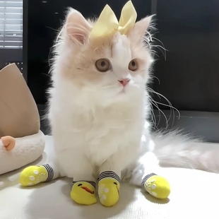 猫鞋 袜子 子防抓猫脚套猫手套爪子爪套防挠宠物专用沙发保护猫穿