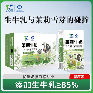 【新日期】天太茉莉牛奶250ml*24盒整箱批发儿童学生营养早餐奶