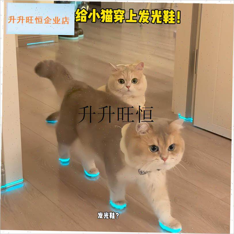 咪发光鞋宠物狗狗鞋子r哨子夜光儿童玩具夜间拍照小配件撸猫装扮,