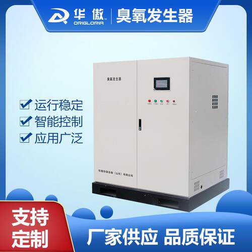 水处理臭氧发生器 游泳池水循环水杀菌水消毒设备 污水消毒厂家