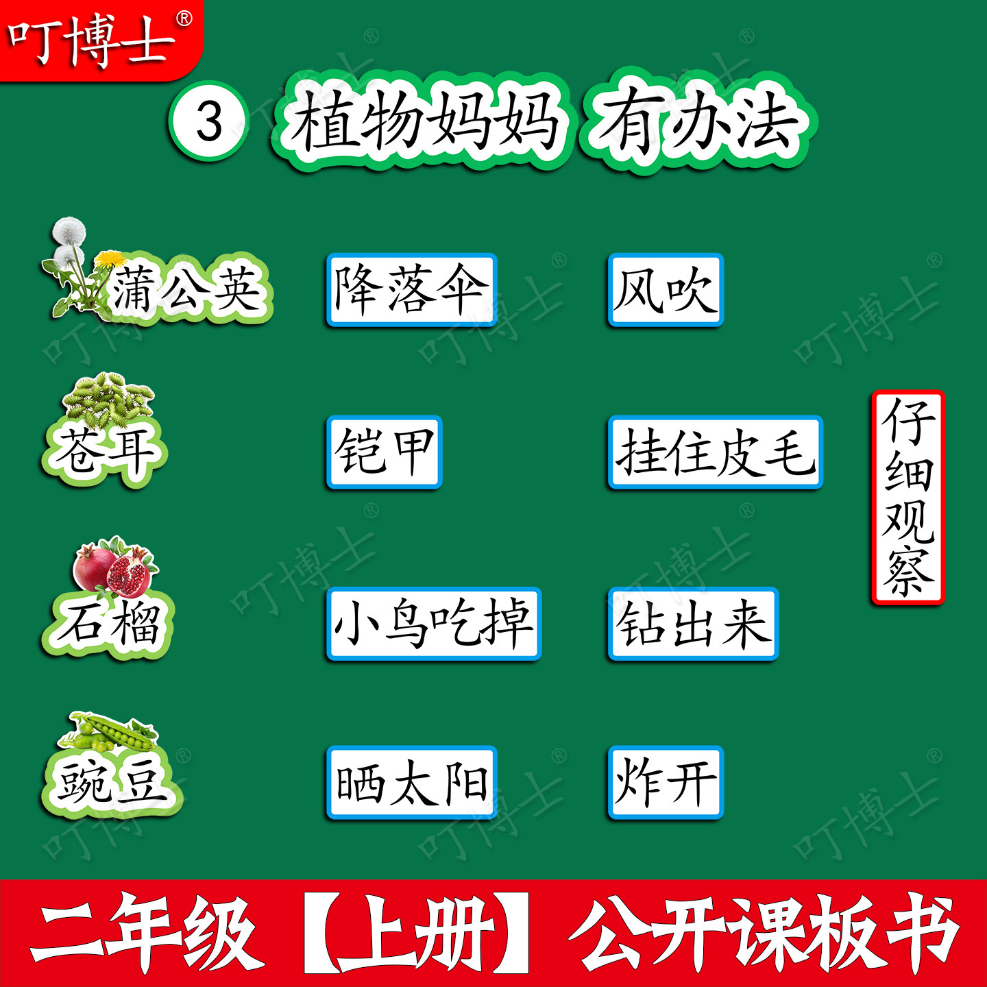 二年级植物妈妈有办法公开课板贴