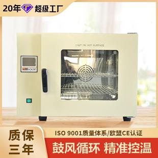 干燥箱仪器仪表恒温恒湿箱高低温实验箱DHG 中新电热鼓风循环台式