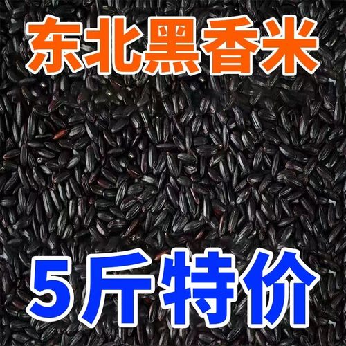 东北五常黑米新米五谷杂粮黑香米糙米黑糯米粥孕妇减餐代餐批发