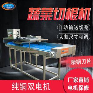 多功能蔬菜切根机小葱芹菜去根机监狱无刀化加工设备茭白去根