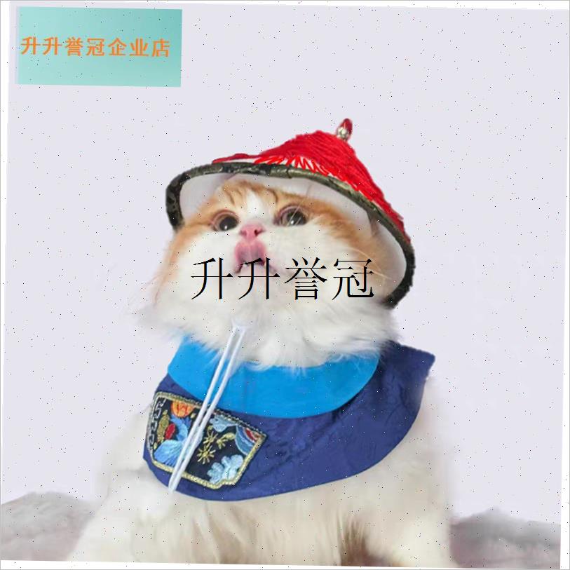 鳌拜套装搞怪猫猫衣服帽子宠物B太监服清朝衣服时尚猫帮宠物狗狗,