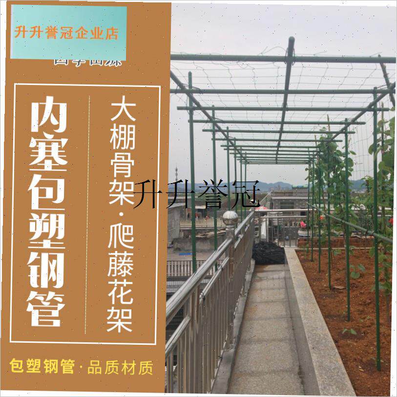 园艺支柱爬藤g包塑钢管黄瓜番茄支撑杆爬藤花架大棚种菜架子爬藤,