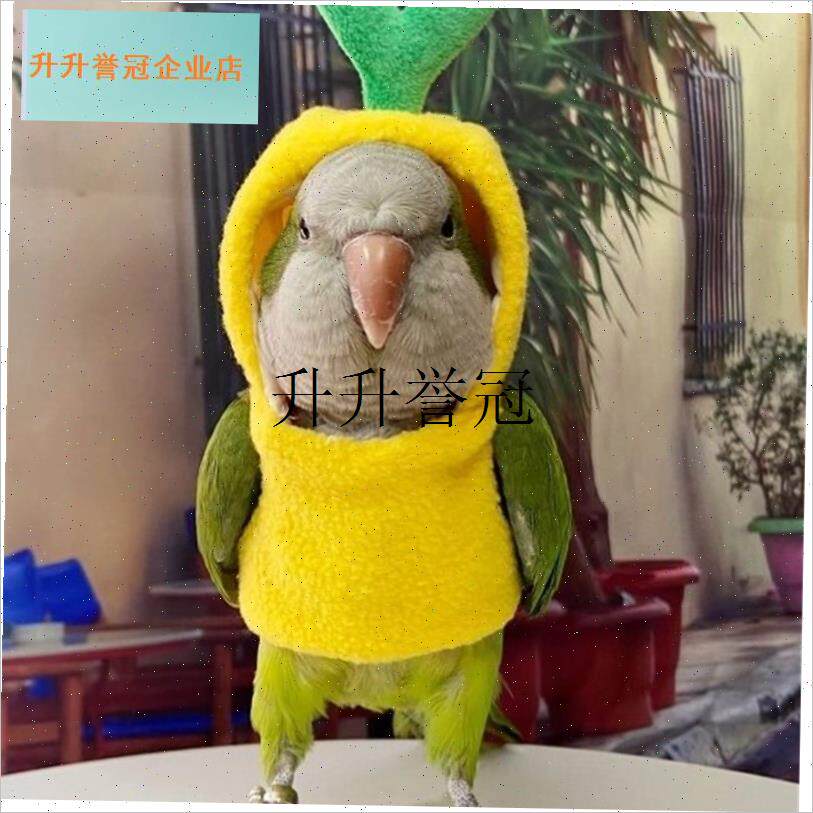 宠物鸟玄凤牡丹和尚外出加厚x保暖用品拍照装饰可爱连帽鹦鹉衣服,