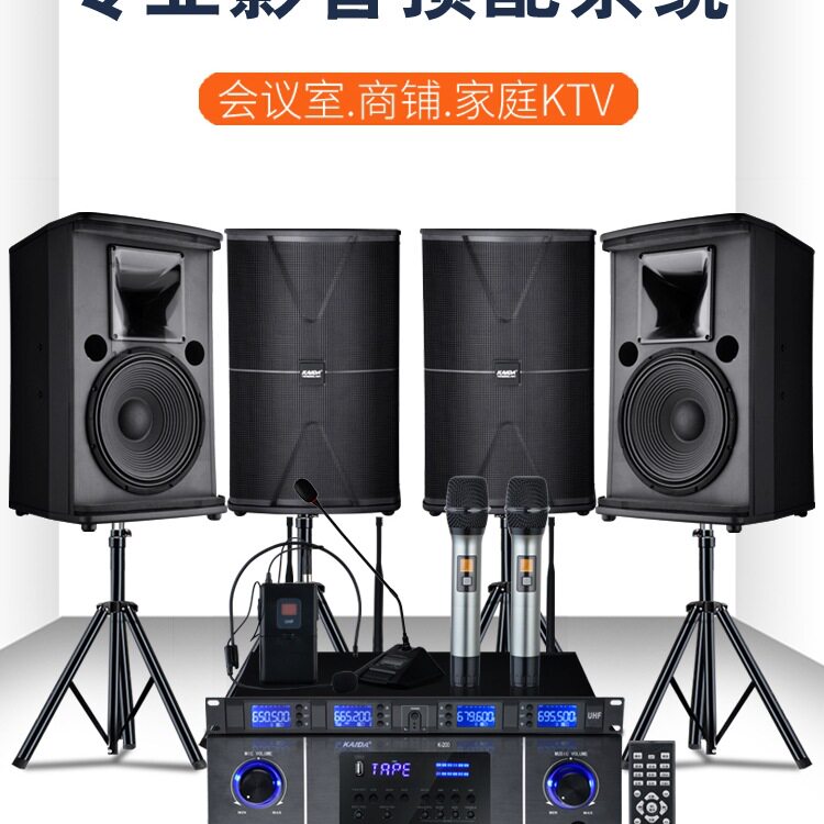 包邮专业会议室舞蹈培训门店铺专用音箱家庭KTV音响套装k歌健身房