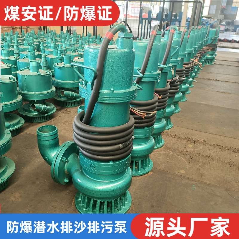 矿用隔爆型潜水排沙电泵BQS1.5kw千瓦350kw防爆潜污水泵380v660伏
