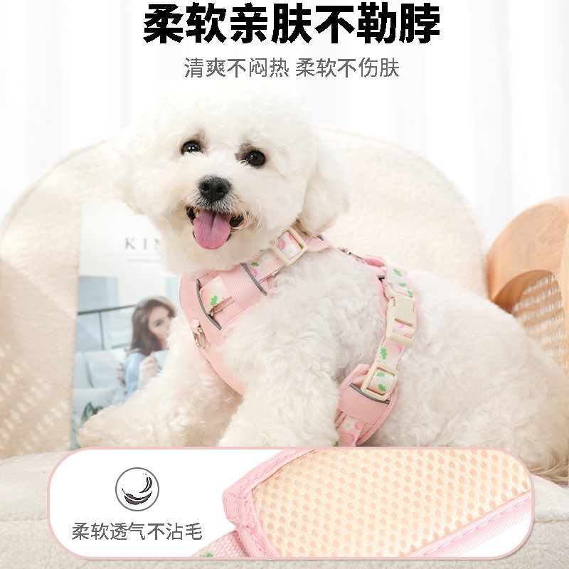 狗狗牵引绳夏季背心式宠物背带透气狗绳大中小型犬柯基比熊外出链,宠物/宠物食品及用品,狗牵引绳,淘宝优惠券,粉丝福利购,淘宝优惠卷