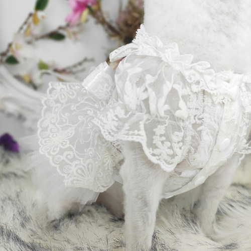 私宠手作宠物狗白色婚纱狗蝴蝶结纱裙宠物泰迪比熊博美猫结婚礼服