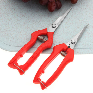 果蔬剪刀园艺剪树枝剪花椒摘果剪葡萄水果修枝剪家用不锈钢剪刀