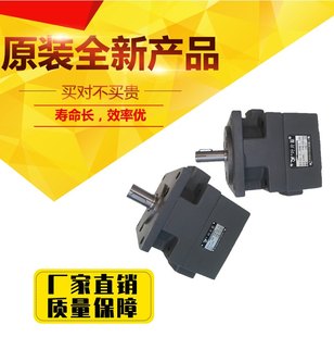 2.5 12.5 永灵叶片泵YLC仙居YB1 6.3 100