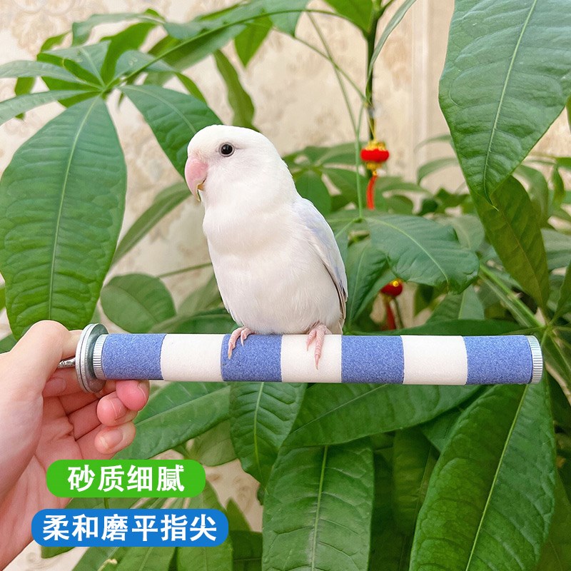 鹦鹉磨爪棒站杆磨嘴站棍虎皮牡丹玄凤鸟笼磨砂玩具鸟磨指甲用品