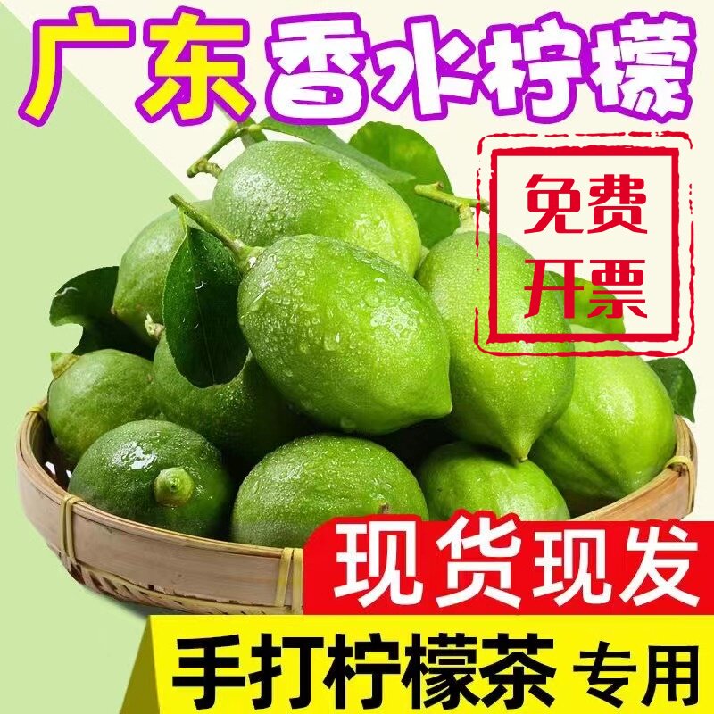 茶诺新鲜广东香水柠檬奶茶店专用图片
