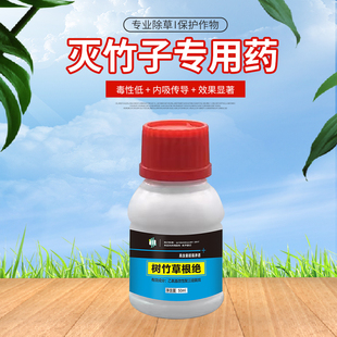 极速灭竹子的药竹根连根烂灭竹王杀竹烂竹荒地除竹子杂.草烂树根