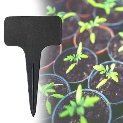 极速100pcs Plant Labels Vegetable Tags GarNden Markers Groun