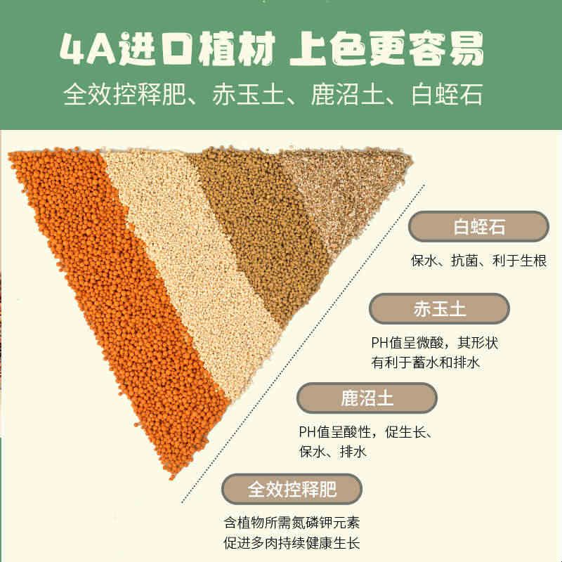 船长多肉花园萌芽熊多肉专用土颗粒植物纯颗粒铺面石营养种植花土