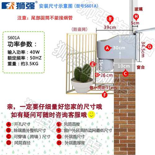 狮强牌厨房油烟排气扇排风换气扇10寸窗式静音强力洁王抽吸机S601